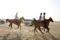 international/Kuwait/2009ShkNasserCup/gallery/Osama/thumbnails/USAM9477.jpg