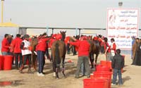 international/Kuwait/2009ShkNasserCup/gallery/Osama/thumbnails/USAM9563.jpg