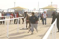 international/Kuwait/2009ShkNasserCup/gallery/Osama/thumbnails/USAM9609.jpg