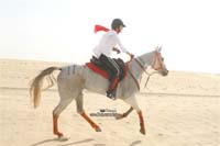 international/Kuwait/2009ShkNasserCup/gallery/Osama/thumbnails/USAM9639.jpg