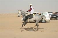 international/Kuwait/2009ShkNasserCup/gallery/Osama/thumbnails/USAM9643.jpg