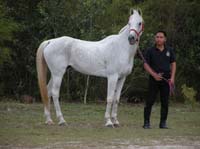 DSCN5160
