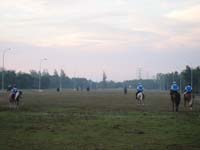 IMG_4946