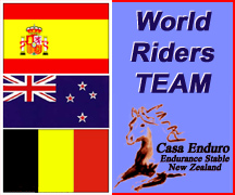 Team New Zealand