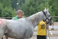 international/Poland/2008NowaWies/gallery/thumbnails/Polish_Endurance_Cha20128.jpg