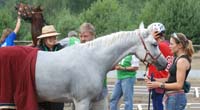 international/Poland/2008NowaWies/gallery/thumbnails/Sahiba_in_veterinary_gate.jpg