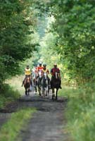 international/Poland/2008NowaWies/gallery/thumbnails/on_the_rout_-CEI_12020114.jpg