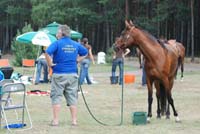 international/Poland/2008NowaWies/gallery/thumbnails/representative_of_Cz20130.jpg