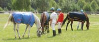 international/Poland/2008NowaWies/gallery/thumbnails/representatives_of_C20132.jpg