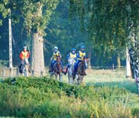 horses_an_the_rout160km