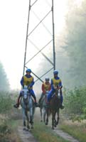 international/Poland/2008Warka/gallery/thumbnails/horses_an_the_rout_1.jpg
