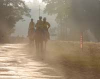 on_the_rout-the_morning_1