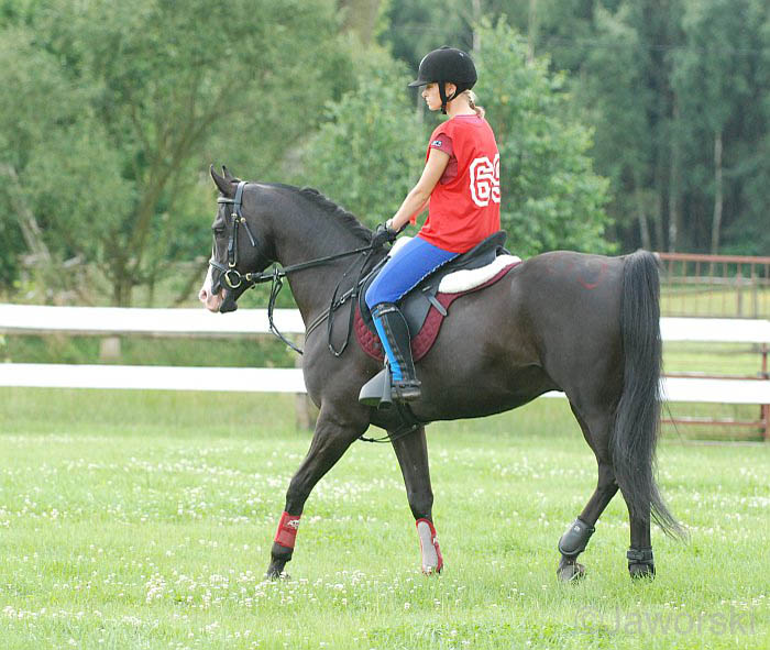 EndPoland_78