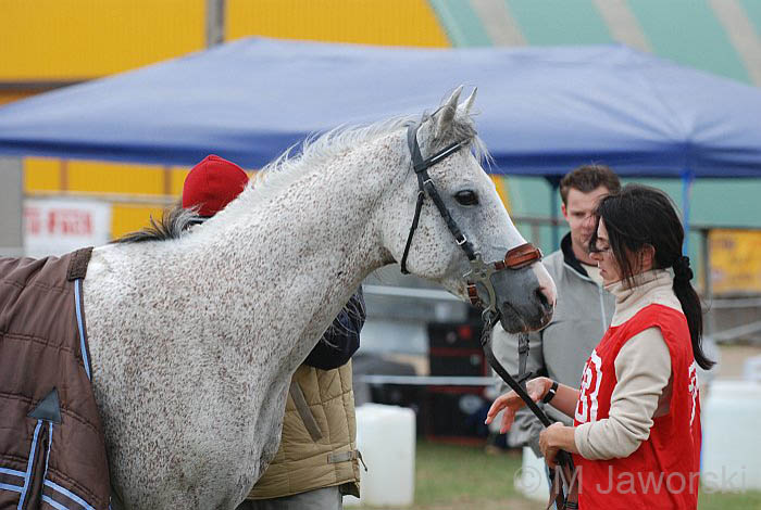 Endurance-Poland(14)