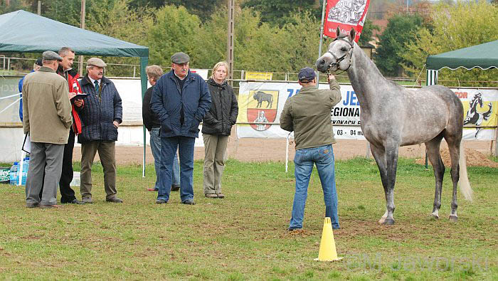 Endurance-Poland(95)