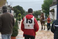 08GOL_247