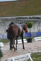 08GOL_250