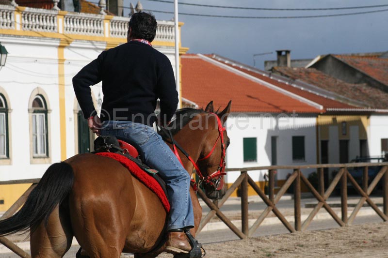 08GOL_123