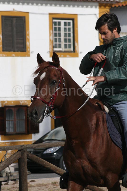 08GOL_124