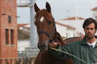 08GOL_105