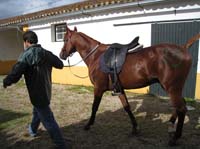 08GOL_111
