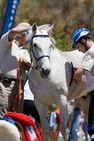 IMG_6909