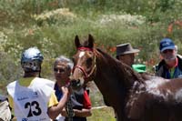IMG_6948