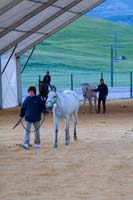 IMG_7435