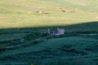 IMG_7582
