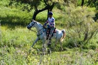 IMG_7637
