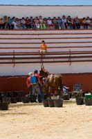 IMG_7750