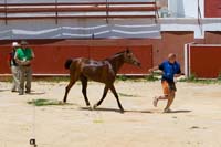 IMG_7796