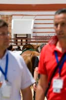 IMG_7860