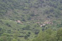 IMG_7885