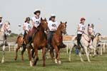 08TDA_079
