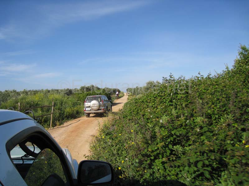 08TDA_292