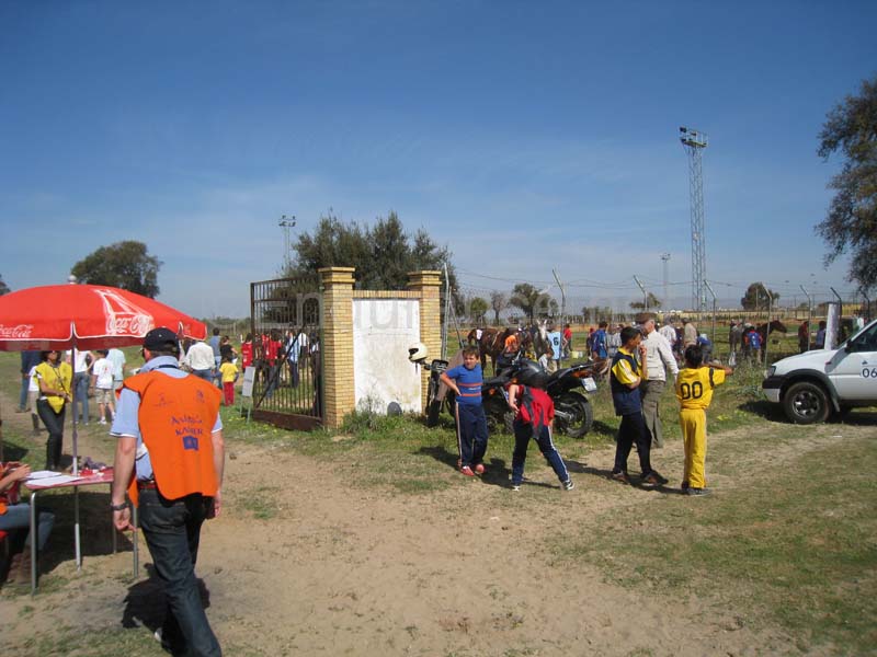08TDA_307