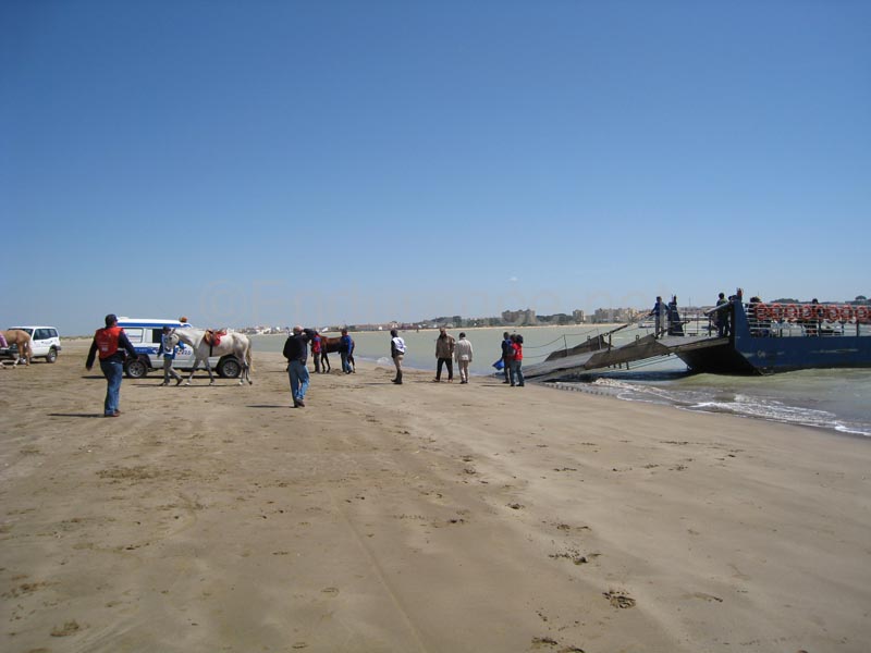 08TDA_810