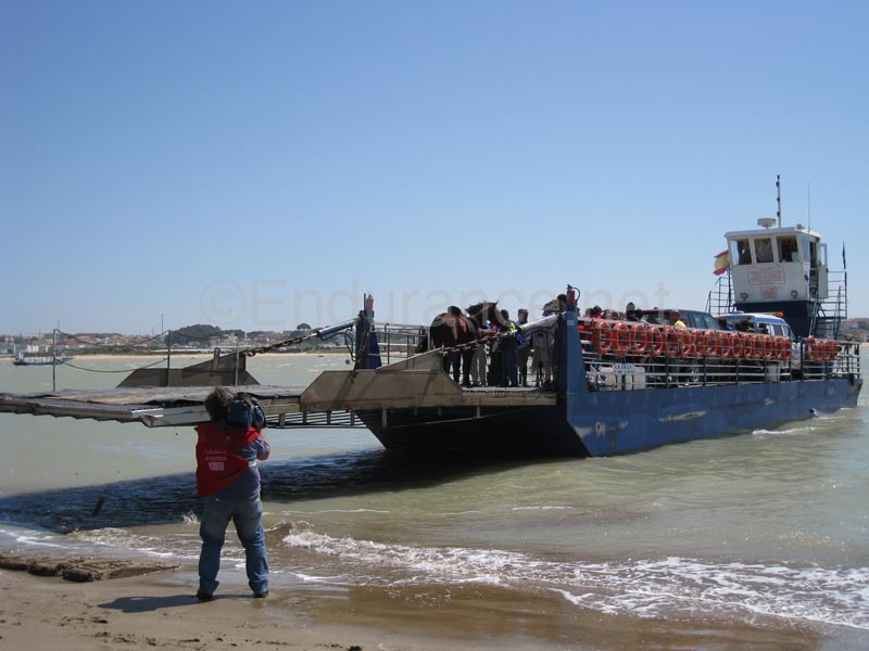 08TDA_814