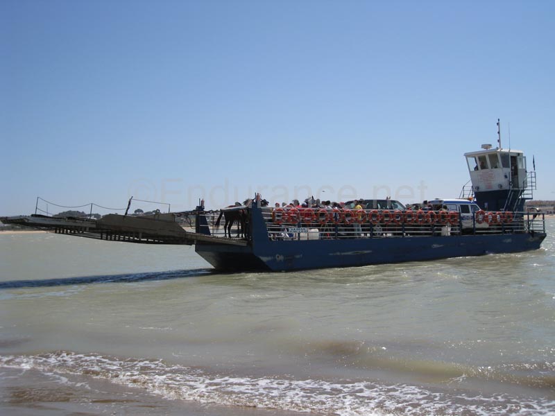 08TDA_815