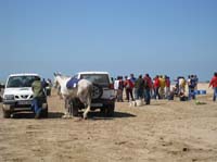 08TDA_802