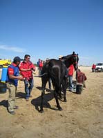 08TDA_805
