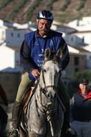 08TDA_1481