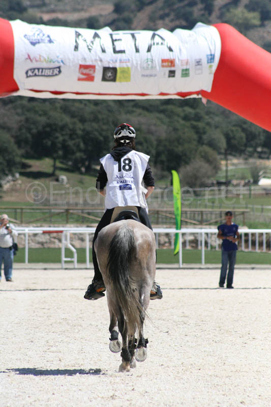 08TDA_2008