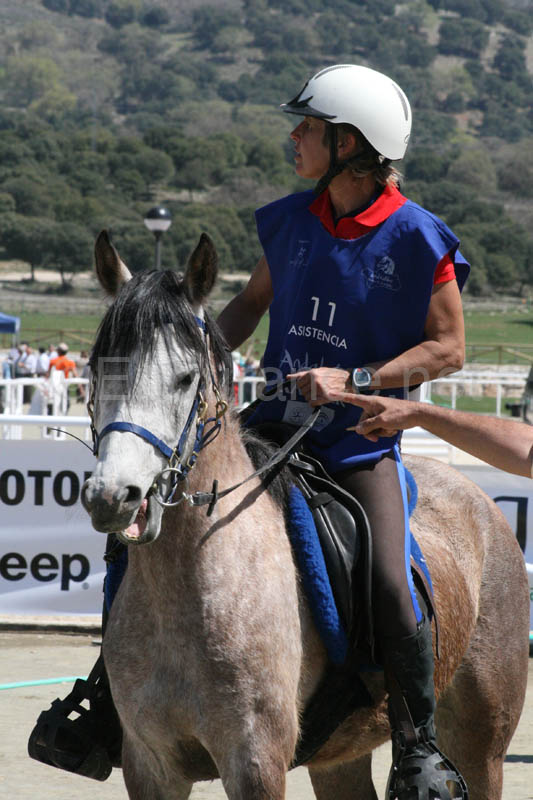 08TDA_2015