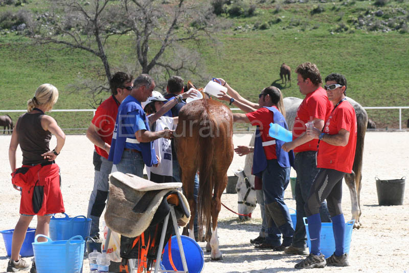 08TDA_2019