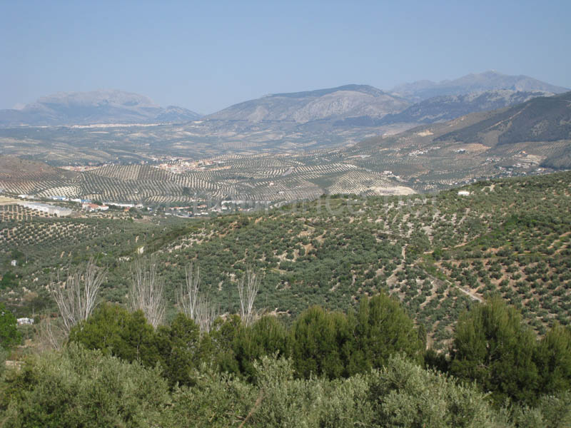 08TDA_2103