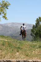 IMG_16886