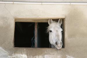 Gallery/VetIn/rotator/IMG_1506.jpg
