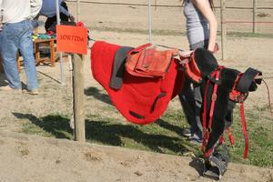 Gallery/VetIn/rotator/IMG_1523.jpg